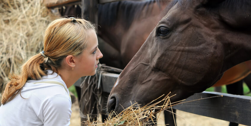 A Brief Deep Dive into Animal Assisted Therapy for Troubled Teens